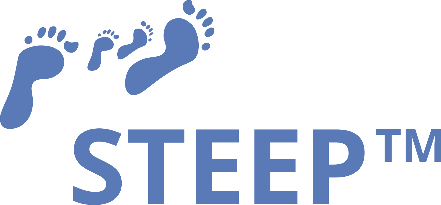 STEEP™ Logo